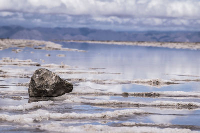 Rocks on shore at beach