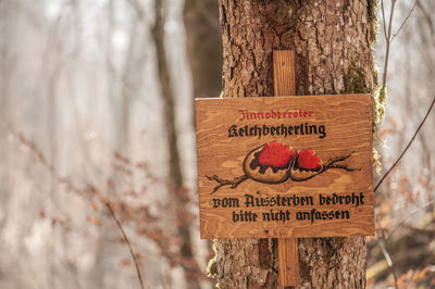 Close-up of information sign on tree trunk