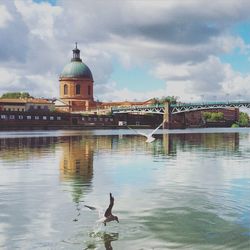 Bird flying over water