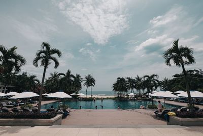 Palm trees by swimming pool against sky
