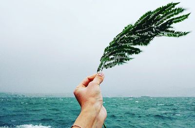 Midsection of person holding plant against sea
