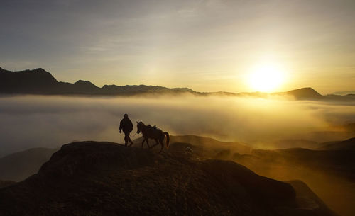 Silhouette horse on mountain against sky during sunset