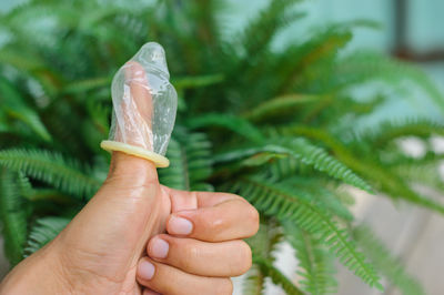 Close-up of hand holding condom