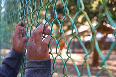 Close-up of hand holding chainlink fence