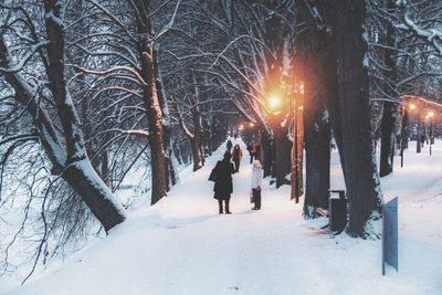 People walking on snow covered footpath amidst bare trees during winter