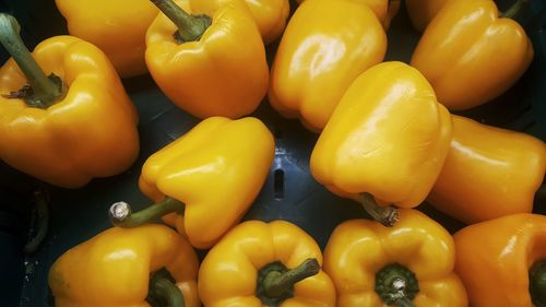 Close-up of yellow bell peppers for sale at market stall