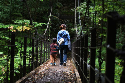 Rear view of men walking on footbridge in forest