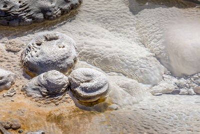 Close up of the limestone pattern of the aurum geyser, yellowstone