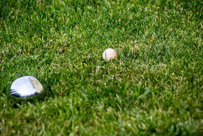 High angle view of ball on field