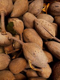 Full frame shot of roasted for sale