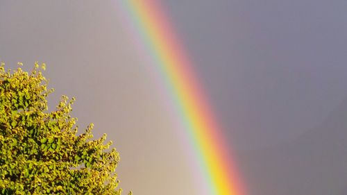 Low angle view of rainbow against sky