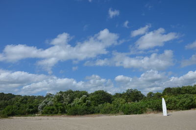 Trees and plants growing on land against sky