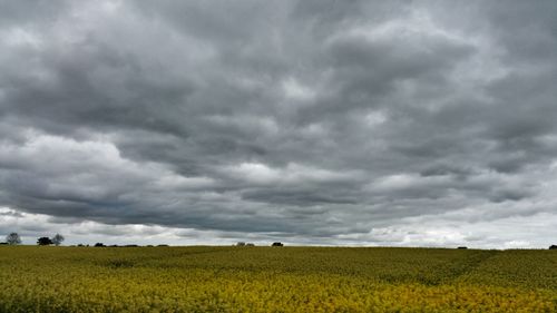 Scenic view of field against cloudy sky