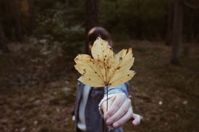 Portrait of young woman holding leaf in forest during autumn