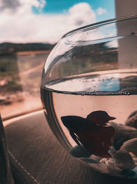 Close-up of reflection in mirror