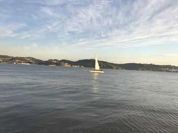 Sailboat sailing on sea against sky