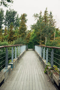 Footbridge over river