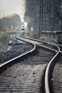 Railroad tracks amidst trees