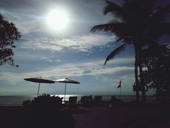 Palm trees against cloudy sky