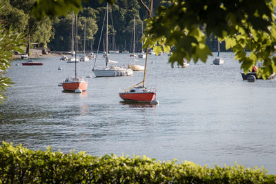 Sailboats moored on sea