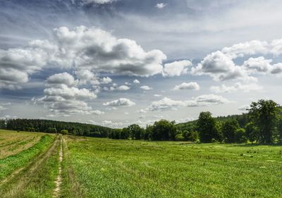 Scenic view of field against sky