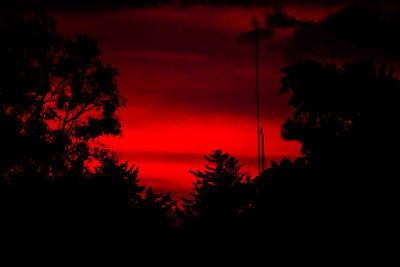 Silhouette trees against sky at sunset