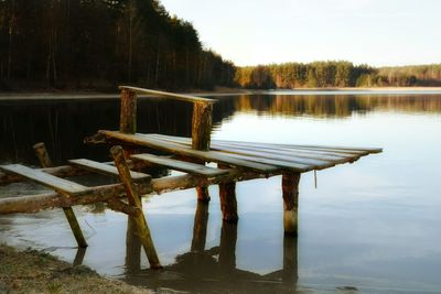 Reflection of trees in lake