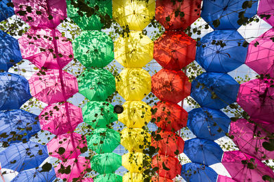 Full frame shot of multi colored flowers hanging for sale