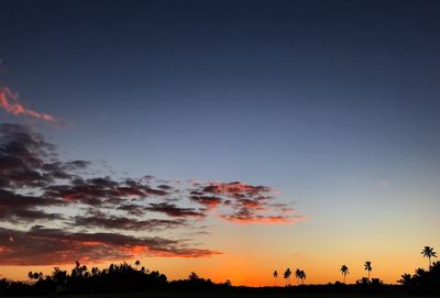 Low angle view of silhouette trees against sky during sunset