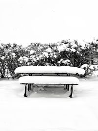 Empty bench on snow covered field against clear sky