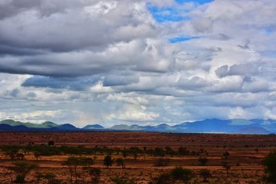 Scenic view of field against cloudy sky