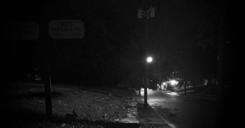 Illuminated street lights at night