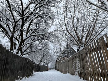 winter