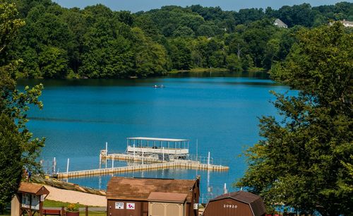 Scenic view of lake against trees