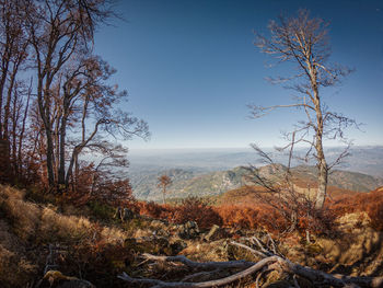 Scenic view of landscape against clear sky