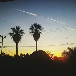 Silhouette of palm trees at sunset