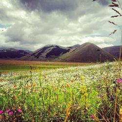 Scenic view of landscape against cloudy sky