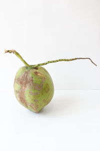 Close-up of fruit against white background