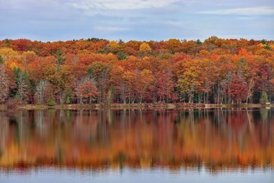 Scenic view of lake by trees during autumn