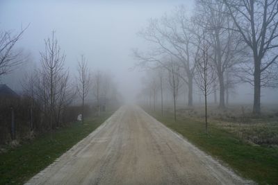 Road amidst trees against sky during foggy weather