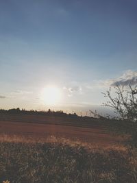 Scenic view of field against sky during sunset