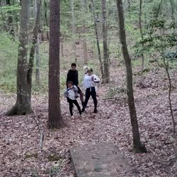 People standing on dirt road amidst trees in forest