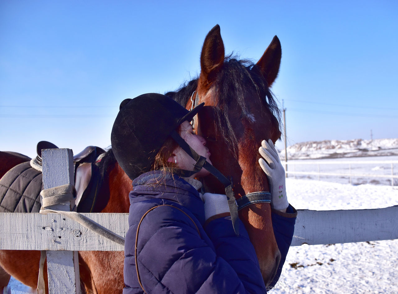 horse, animal, winter, snow, animal themes, mammal, domestic animals, cold temperature, nature, animal wildlife, sky, pet, adult, one animal, day, livestock, blue, clothing, warm clothing, leisure activity, one person, sunlight, clear sky, activity, outdoors, mountain, land, waist up, sports, portrait, sunny, landscape, working animal, men, women, white, environment, young adult, lifestyles