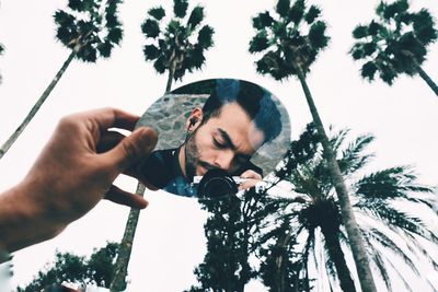 Low angle view of man holding palm tree against sky