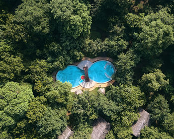 High angle view of trees and plants