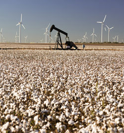 View of wind turbines on land