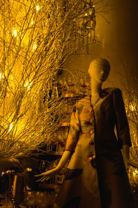 People standing by illuminated tree in city at night