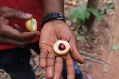 High angle view of woman holding fruits