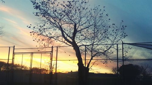 Silhouette tree against sky during sunset