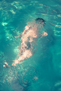 High angle view of man swimming in pool